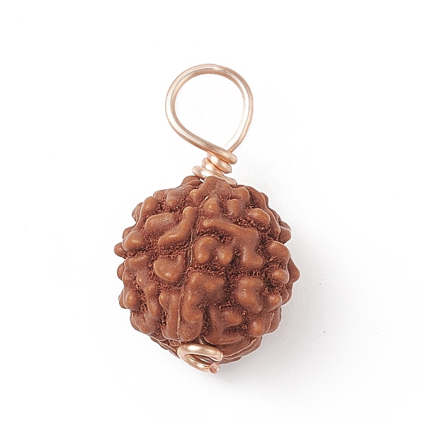 PandaHall Round Natural Wood Pendants, Sienna Rudraksha Charms, with Copper Wire, Golden, 16~19.5x9~10.5mm, Hole: 3.5mm Wood Round Brown
PandaHall Round Natural Wood Pendants, Sienna Rudraksha Charms, with Copper Wire, Golden, 16~19.5x9~10.5mm, Hole: 3.5mm Wood Round Brown