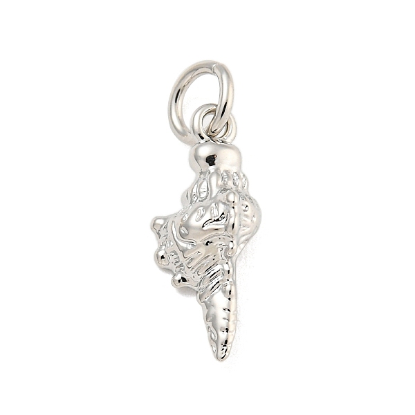 PandaHall Rack Plating Brass Pendants, with Jump Ring, Long-Lasting Plated, Cadmium Free & Lead Free, Whelk, Platinum, 16x6x4mm, Hole: 3mm...
PandaHall Rack Plating Brass Pendants, with Jump Ring, Long-Lasting Plated, Cadmium Free & Lead Free, Whelk, Platinum, 16x6x4mm, Hole: 3mm...