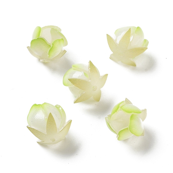 PandaHall Opaque Acrylic Bead Cap, Flower, Green Yellow, 15~17x15~17x14mm, Hole: 1.4mm Acrylic
PandaHall Opaque Acrylic Bead Cap, Flower, Green Yellow, 15~17x15~17x14mm, Hole: 1.4mm Acrylic