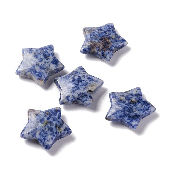 PandaHall Natural Blue Spot Jasper Beads, No Hole/Undrilled Beads, Star, 29.5x31~31.5x7~8mm Blue Spot Jasper Star
PandaHall Natural Blue Spot Jasper Beads, No Hole/Undrilled Beads, Star, 29.5x31~31.5x7~8mm Blue Spot Jasper Star