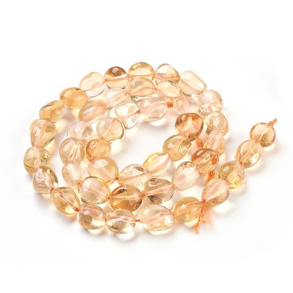 PandaHall Natural Citrine Beads Strands, Tumbled Stone, Nuggets, Dyed & Heated, 8~12x6~9mm, Hole: 0.8mm, about 44pcs/strand, 15.7 inch(40cm)..., Gold
PandaHall Natural Citrine Beads Strands, Tumbled Stone, Nuggets, Dyed & Heated, 8~12x6~9mm, Hole: 0.8mm, about 44pcs/strand, 15.7 inch(40cm)..., Gold