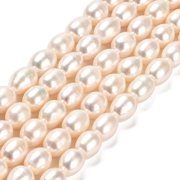 PandaHall Natural Cultured Freshwater Pearl Beads Strands, Rice, Grade AAAAA, Seashell Color, 9.5~10x8~9mm, Hole: 0.6mm, about...
PandaHall Natural Cultured Freshwater Pearl Beads Strands, Rice, Grade AAAAA, Seashell Color, 9.5~10x8~9mm, Hole: 0.6mm, about...