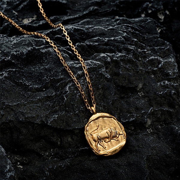 PandaHall Stainless Steel Cable Chain Necklace, Titanium Steel Constellation Pendant Necklace for Women, Taurus, 17-3/4 inch(45cm) 304...
PandaHall Stainless Steel Cable Chain Necklace, Titanium Steel Constellation Pendant Necklace for Women, Taurus, 17-3/4 inch(45cm) 304...