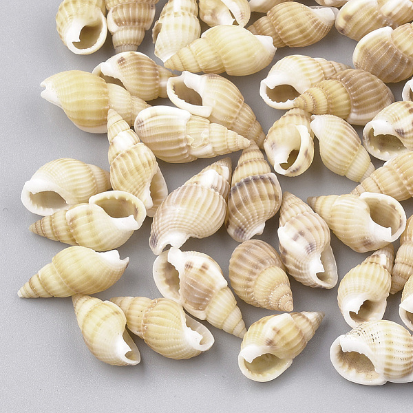 PandaHall Spiral Shell Beads, No Hole/Undrilled, Wheat, 10~20x6~11x5~9mm Spiral Shell Shell Shape Orange
PandaHall Spiral Shell Beads, No Hole/Undrilled, Wheat, 10~20x6~11x5~9mm Spiral Shell Shell Shape Orange