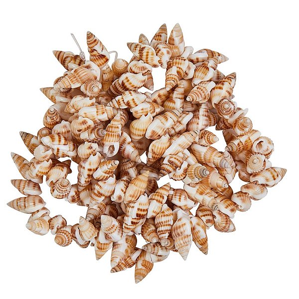 PandaHall Natural Spiral Shell Beads Strands, Wheat, 14~20x7~10x6~8mm, Hole: 1mm, 15.35 inch(39cm), 2strands/box Spiral Shell Shell Shape..., Orange
PandaHall Natural Spiral Shell Beads Strands, Wheat, 14~20x7~10x6~8mm, Hole: 1mm, 15.35 inch(39cm), 2strands/box Spiral Shell Shell Shape..., Orange