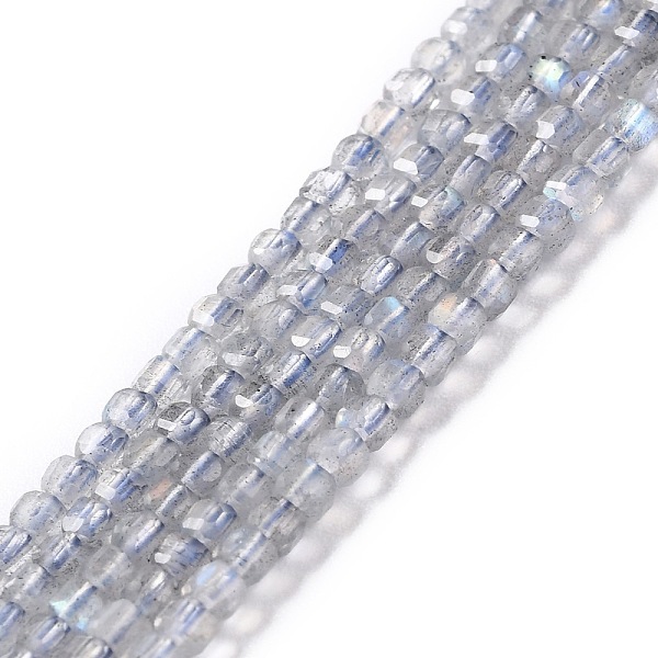 PandaHall Natural Labradorite Beads Strands, Faceted, Cube, 2x2.5x2.5mm, Hole: 0.6mm, about 166pcs/strand, 15.55''(39.5cm) Labradorite Cube
PandaHall Natural Labradorite Beads Strands, Faceted, Cube, 2x2.5x2.5mm, Hole: 0.6mm, about 166pcs/strand, 15.55''(39.5cm) Labradorite Cube