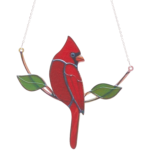 PandaHall Iron Hummingbird Pendant Decorations, with Jump Ring and Chain, Red, 350mm Iron Bird Red
PandaHall Iron Hummingbird Pendant Decorations, with Jump Ring and Chain, Red, 350mm Iron Bird Red
