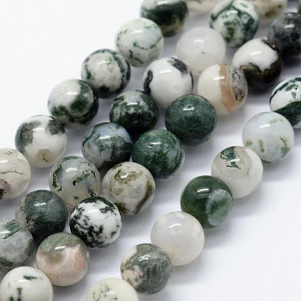 PandaHall Natural Tree Agate Beads Strands, Round, 6mm, Hole: 1.2mm, about 63pcs/strand, 14.76 inch(37.5cm) Tree Agate Round
PandaHall Natural Tree Agate Beads Strands, Round, 6mm, Hole: 1.2mm, about 63pcs/strand, 14.76 inch(37.5cm) Tree Agate Round
