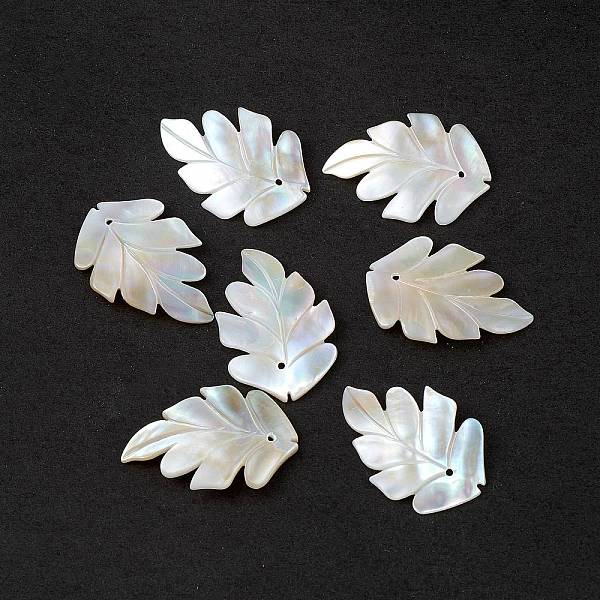 PandaHall Natural Sea Shell Pendants, Leaf Charms, Seashell Color, 30x20x1.5mm, Hole: 1mm Shell Leaf
PandaHall Natural Sea Shell Pendants, Leaf Charms, Seashell Color, 30x20x1.5mm, Hole: 1mm Shell Leaf