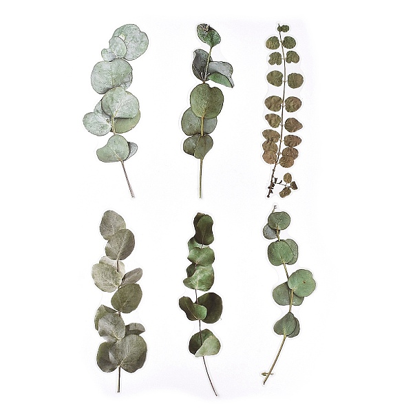 PandaHall 6Pcs Plant PET Adhesive Waterproof Stickers, for DIY Photo Album Diary Scrapbook Decoration, Leaf, Dark Sea Green...
PandaHall 6Pcs Plant PET Adhesive Waterproof Stickers, for DIY Photo Album Diary Scrapbook Decoration, Leaf, Dark Sea Green...