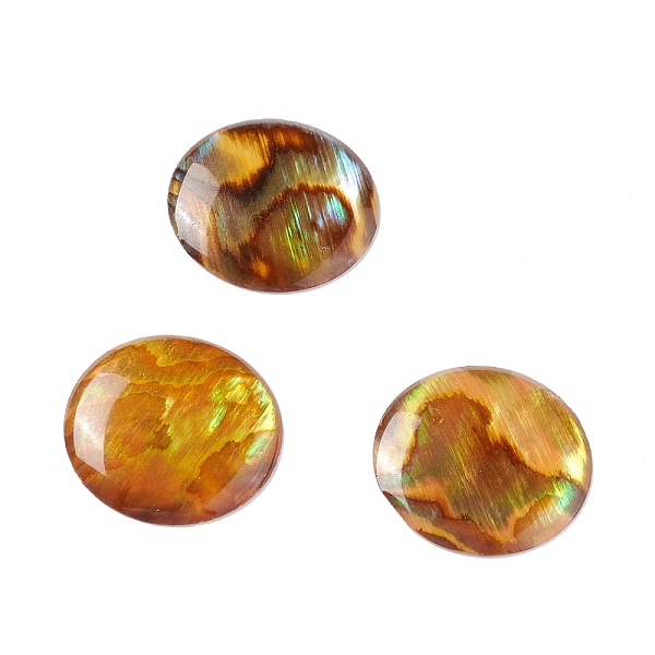 PandaHall Paua Shell Cabochons, Flat Round, Dark Orange, 15x2mm Paua Shell Flat Round
PandaHall Paua Shell Cabochons, Flat Round, Dark Orange, 15x2mm Paua Shell Flat Round