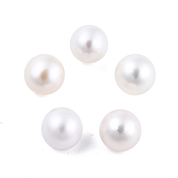 PandaHall Natural Pearl Beads, No Hole/Undrilled, Round, Floral White, 6.5~7mm Pearl Round
PandaHall Natural Pearl Beads, No Hole/Undrilled, Round, Floral White, 6.5~7mm Pearl Round