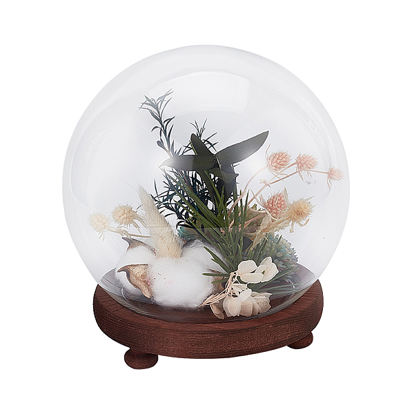 PandaHall Glass Dome Cover, Ball-Shaped Handle Decorative Display Case, Cloche Bell Jar Terrarium with Wood Base, Coconut Brown, Finish...
PandaHall Glass Dome Cover, Ball-Shaped Handle Decorative Display Case, Cloche Bell Jar Terrarium with Wood Base, Coconut Brown, Finish...