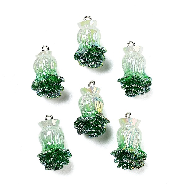 PandaHall AB Color Resin Pendants, Vegetable Charms with Platinum Plated Iron Loops, Vegetables, 26.5~28x15~18.5x15mm, Hole: 2mm Iron+Resin...
PandaHall AB Color Resin Pendants, Vegetable Charms with Platinum Plated Iron Loops, Vegetables, 26.5~28x15~18.5x15mm, Hole: 2mm Iron+Resin...