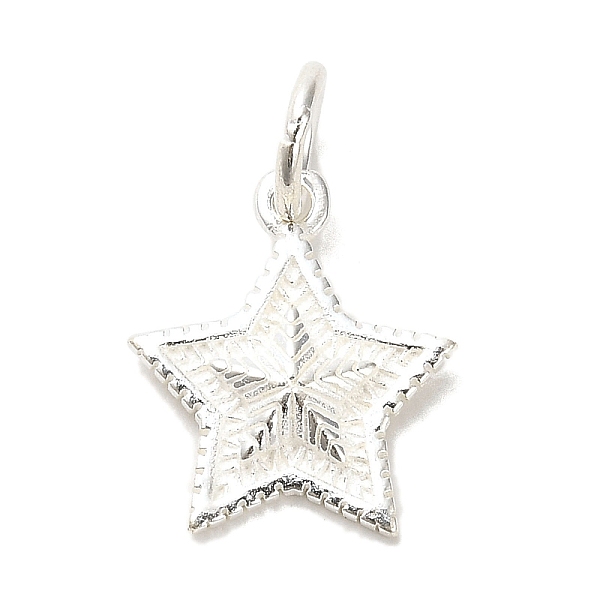 PandaHall Sterling Silver Charms, with Jump Ring, with S925 Stamp, Star, 14x12x2.5mm, Hole: 3.5mm Sterling Silver Star
PandaHall Sterling Silver Charms, with Jump Ring, with S925 Stamp, Star, 14x12x2.5mm, Hole: 3.5mm Sterling Silver Star