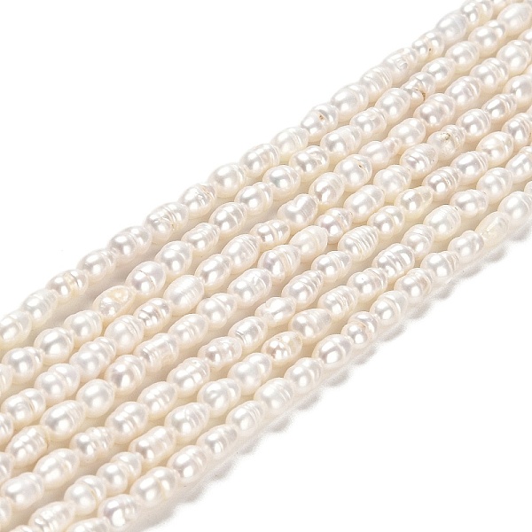 PandaHall Natural Cultured Freshwater Pearl Beads Strands, Rice, Grade A+, Old Rose, 4.5~5.5x3~3.5mm, Hole: 0.5mm, about 70~71pcs/strand...
PandaHall Natural Cultured Freshwater Pearl Beads Strands, Rice, Grade A+, Old Rose, 4.5~5.5x3~3.5mm, Hole: 0.5mm, about 70~71pcs/strand...