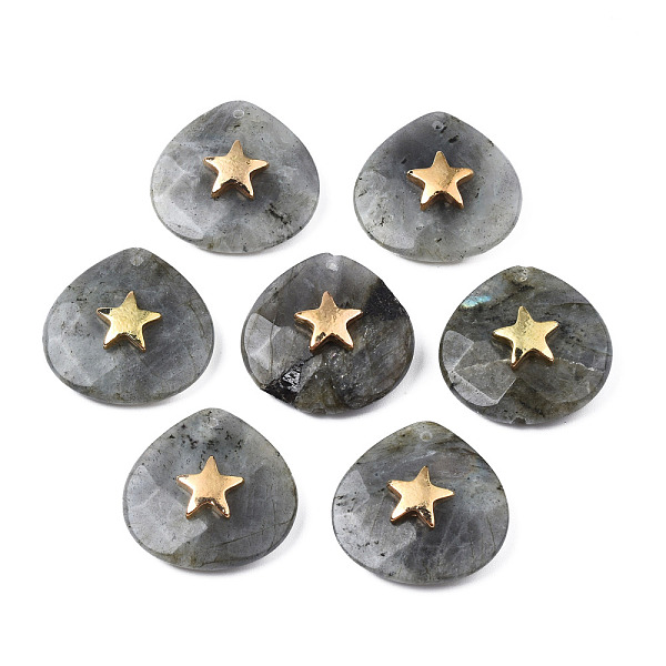 PandaHall Natural Labradorite Pendants, with Light Gold Plated Brass Star Findings, Faceted, Teardrop, 28~28.5x28~28.5x10mm, Hole: 1.2mm...
PandaHall Natural Labradorite Pendants, with Light Gold Plated Brass Star Findings, Faceted, Teardrop, 28~28.5x28~28.5x10mm, Hole: 1.2mm...