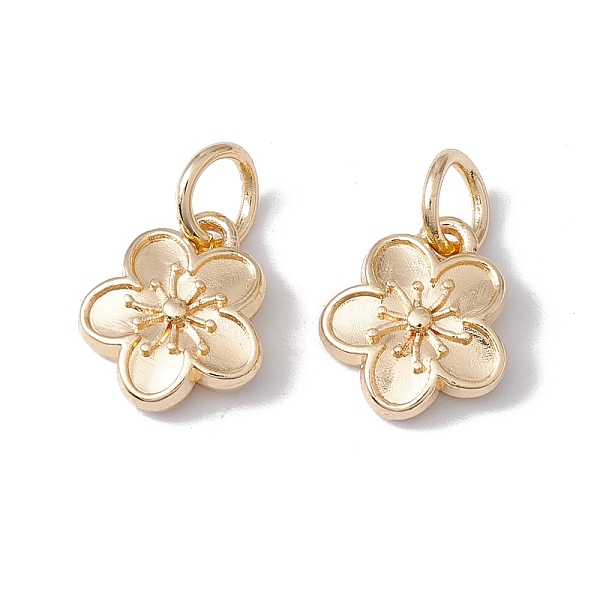 PandaHall Rack Plating Alloy Charms, with Jump Rings, Long-Lasting Plated, Cadmium Free & Lead Free, Flower Charms, Real 14K Gold Plated...
PandaHall Rack Plating Alloy Charms, with Jump Rings, Long-Lasting Plated, Cadmium Free & Lead Free, Flower Charms, Real 14K Gold Plated...