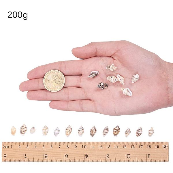 PandaHall 200g 2 Styles Tiny Sea Shell Ocean Beach Spiral Seashells Craft Charms for Candle Making Home Decoration Beach Theme Party...
PandaHall 200g 2 Styles Tiny Sea Shell Ocean Beach Spiral Seashells Craft Charms for Candle Making Home Decoration Beach Theme Party...