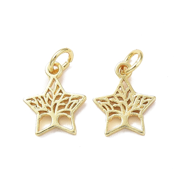 PandaHall Rack Plating Brass Charms, with Jump Ring, Lead Free & Cadmium Free, Hollow, Star with Tree of Life Charm, Real 18K Gold Plated...
PandaHall Rack Plating Brass Charms, with Jump Ring, Lead Free & Cadmium Free, Hollow, Star with Tree of Life Charm, Real 18K Gold Plated...