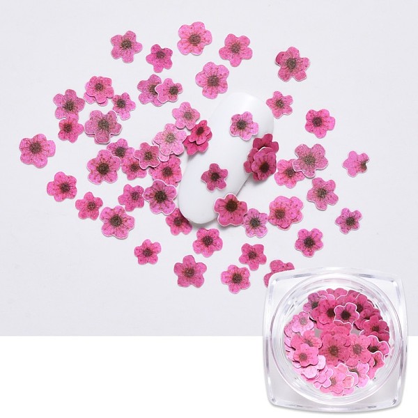 PandaHall Paper Cabochons, Nail Art Decorations, Flower, Hot Pink, 5~7x5~7x0.1mm, 50pcs/box Paper Flower Pink
PandaHall Paper Cabochons, Nail Art Decorations, Flower, Hot Pink, 5~7x5~7x0.1mm, 50pcs/box Paper Flower Pink