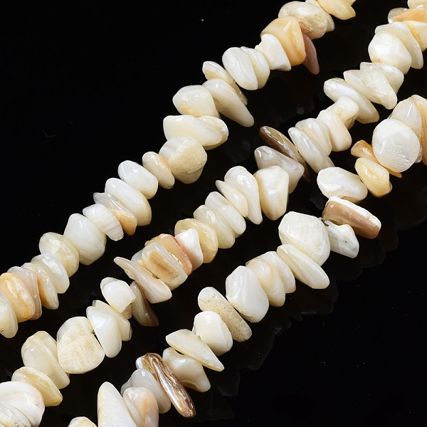 PandaHall Natural Freshwater Shell Beads Strands, Chips, Seashell Color, 2~6x4~14x4.5~8.5mm, Hole: 0.7~0.8mm, about 258~292pcs/strand, 31.10...
PandaHall Natural Freshwater Shell Beads Strands, Chips, Seashell Color, 2~6x4~14x4.5~8.5mm, Hole: 0.7~0.8mm, about 258~292pcs/strand, 31.10...