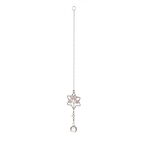 PandaHall Teardrop Acrylic Beads Big Pendant Decorations, Hanging Sun Catchers, with Rose Quartz Chips Beads, Tree of Life, Star, 373mm Rose...
PandaHall Teardrop Acrylic Beads Big Pendant Decorations, Hanging Sun Catchers, with Rose Quartz Chips Beads, Tree of Life, Star, 373mm Rose...
