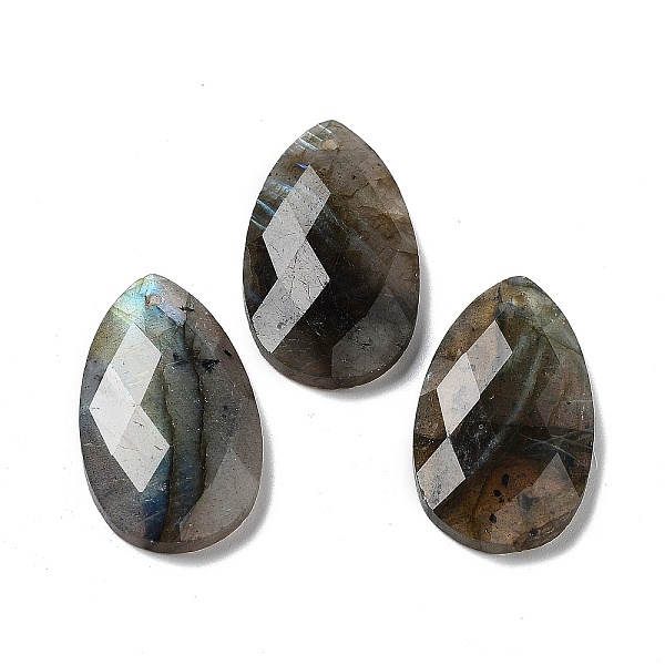 PandaHall Natural Labradorite Pendants, Faceted Teardrop Charms, 30x18x6mm, Hole: 1.5mm Labradorite Teardrop
PandaHall Natural Labradorite Pendants, Faceted Teardrop Charms, 30x18x6mm, Hole: 1.5mm Labradorite Teardrop