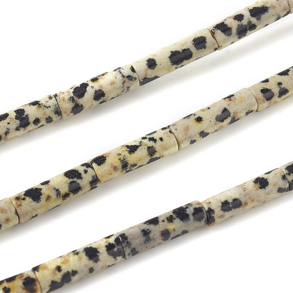 PandaHall Natural Dalmatian Jasper Beads Strands, Column, 13~14x4mm, Hole: 1mm, about 30pcs/strand, 15.9 inch(40.5cm) Dalmatian Jasper...
PandaHall Natural Dalmatian Jasper Beads Strands, Column, 13~14x4mm, Hole: 1mm, about 30pcs/strand, 15.9 inch(40.5cm) Dalmatian Jasper...
