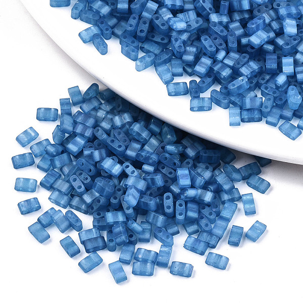 PandaHall 2-Hole Baking Paint Glass Seed Beads, Transparent Frosted Colours Rainbow, Rectangle, Steel Blue, 4.5~5.5x2x2~2.5mm, Hole...
PandaHall 2-Hole Baking Paint Glass Seed Beads, Transparent Frosted Colours Rainbow, Rectangle, Steel Blue, 4.5~5.5x2x2~2.5mm, Hole...