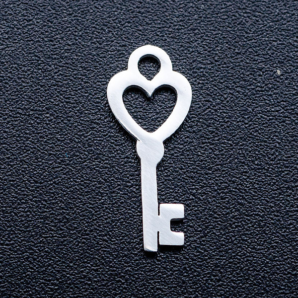 PandaHall 201 Stainless Steel Pendants, Key Charms, Stainless Steel Color, 15x6x1mm, Hole: 1.6mm 201 Stainless Steel Key
PandaHall 201 Stainless Steel Pendants, Key Charms, Stainless Steel Color, 15x6x1mm, Hole: 1.6mm 201 Stainless Steel Key