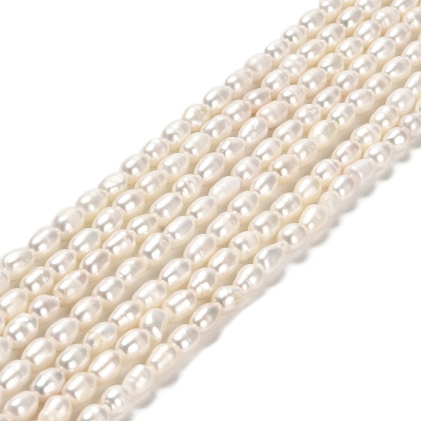 PandaHall Natural Cultured Freshwater Pearl Beads Strands, Rice, Grade 3A, PapayaWhip, 5~7.5x4~4.5mm, Hole: 0.5mm, about 56pcs/strand, 14.17..., Orange
PandaHall Natural Cultured Freshwater Pearl Beads Strands, Rice, Grade 3A, PapayaWhip, 5~7.5x4~4.5mm, Hole: 0.5mm, about 56pcs/strand, 14.17..., Orange