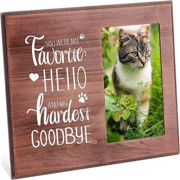 PandaHall Olycraft MDF Photo Frames, Glass Display Pictures, for Tabletop Display Photo Frame, Rectangle with Word, Saddle Brown...
PandaHall Olycraft MDF Photo Frames, Glass Display Pictures, for Tabletop Display Photo Frame, Rectangle with Word, Saddle Brown...