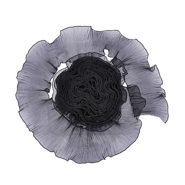 PandaHall Polyester Pleated Lace Trim Ribbon, for DIY Decoration Clothes, Black, 4-3/4 inch(120mm), 15 Yards/bundle Polyester Black
PandaHall Polyester Pleated Lace Trim Ribbon, for DIY Decoration Clothes, Black, 4-3/4 inch(120mm), 15 Yards/bundle Polyester Black