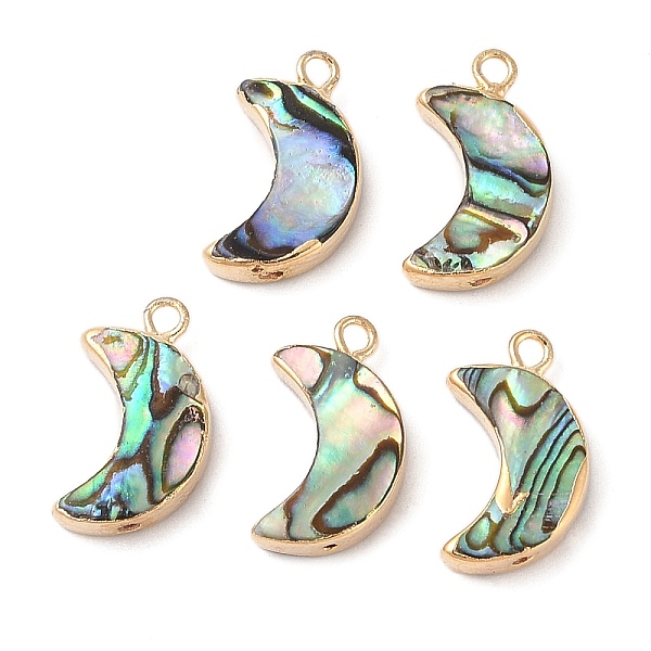 PandaHall Natural Paua Shell Pendants, Moon Charms with Brass Edge, Golden, 19x11x3.5mm, Hole: 1.8mm Paua Shell Moon
PandaHall Natural Paua Shell Pendants, Moon Charms with Brass Edge, Golden, 19x11x3.5mm, Hole: 1.8mm Paua Shell Moon