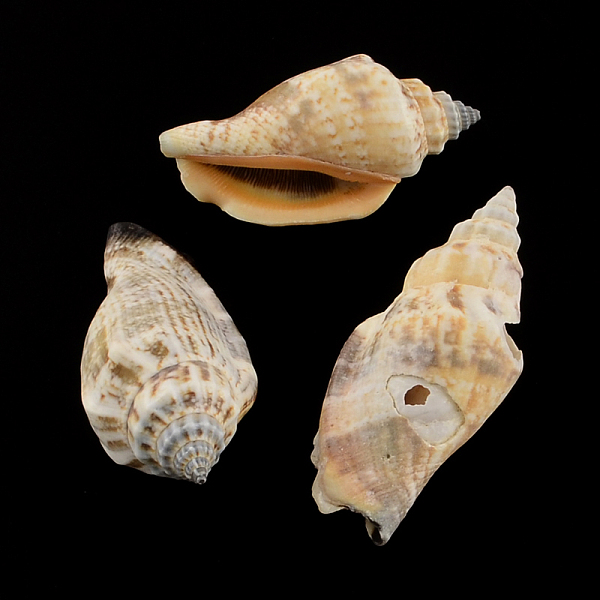 PandaHall Natural Spiral Shell Beads, Peru, 41~50x21~22x16~19mm, Hole: 1mm, about 235pcs/500g Spiral Shell Shell Shape Brown
PandaHall Natural Spiral Shell Beads, Peru, 41~50x21~22x16~19mm, Hole: 1mm, about 235pcs/500g Spiral Shell Shell Shape Brown