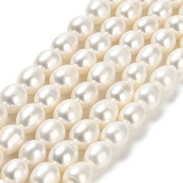 PandaHall Natural Cultured Freshwater Pearl Beads Strands, Rice, Grade 5A, Floral White, 9~10x8.5mm, Hole: 0.5mm, about 38pcs/strand, 15.55...
PandaHall Natural Cultured Freshwater Pearl Beads Strands, Rice, Grade 5A, Floral White, 9~10x8.5mm, Hole: 0.5mm, about 38pcs/strand, 15.55...