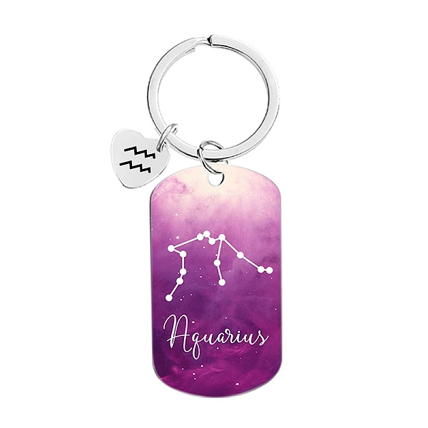PandaHall Twelve Constellations Metal Keychains, Oval Rectangle, Aquarius, 8cm Metal Aquarius
PandaHall Twelve Constellations Metal Keychains, Oval Rectangle, Aquarius, 8cm Metal Aquarius