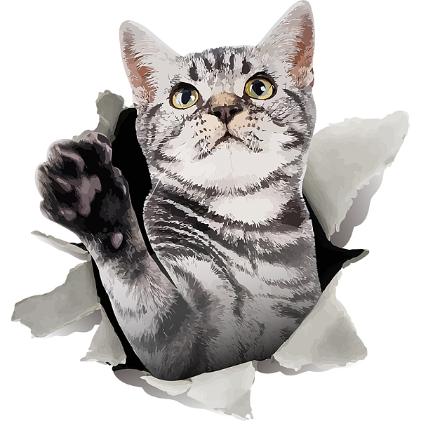 PandaHall PVC Wall Stickers, Wall Decoration, Cat Shape, 800x390mm, 2pcs/set PVC Cat Shape
PandaHall PVC Wall Stickers, Wall Decoration, Cat Shape, 800x390mm, 2pcs/set PVC Cat Shape