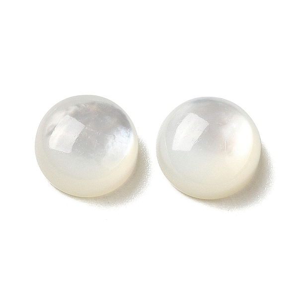 PandaHall Natural White Shell Cabochons, Half Round/Dome, WhiteSmoke, 8x3.5mm White Shell Half Round White
PandaHall Natural White Shell Cabochons, Half Round/Dome, WhiteSmoke, 8x3.5mm White Shell Half Round White