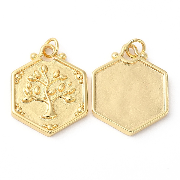 PandaHall Eco-Friendly Rack Plating Brass Pendants, with Jump Ring, Long-Lasting Plated, Lead Free & Cadmium Free, Hexagon with Tree of Life...
PandaHall Eco-Friendly Rack Plating Brass Pendants, with Jump Ring, Long-Lasting Plated, Lead Free & Cadmium Free, Hexagon with Tree of Life...
