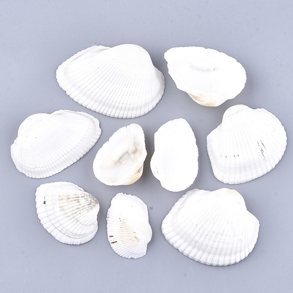 PandaHall Clam Shell Beads, Undrilled/No Hole Beads, White, 29~51x43~71x11~20mm Other Sea Shell Shell Shape White
PandaHall Clam Shell Beads, Undrilled/No Hole Beads, White, 29~51x43~71x11~20mm Other Sea Shell Shell Shape White