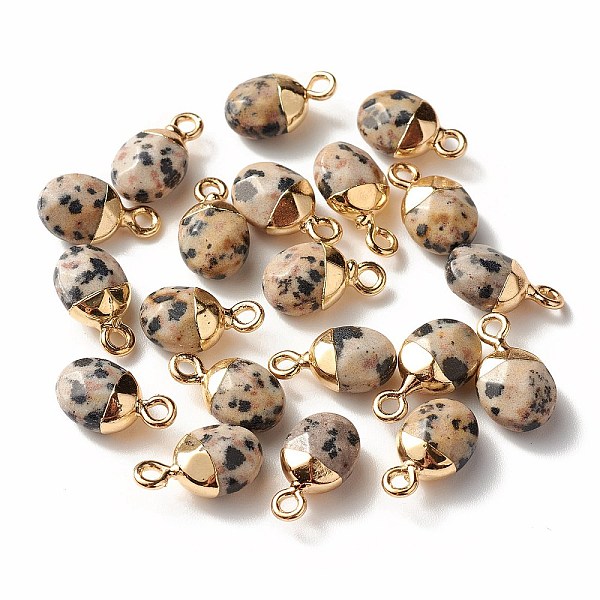 PandaHall Electroplate Natural Dalmatian Jasper Charms, with Iron Findings, Faceted, Oval, Golden, 14~15x8x5~5.5mm, Hole: 1.8mm Dalmatian...
PandaHall Electroplate Natural Dalmatian Jasper Charms, with Iron Findings, Faceted, Oval, Golden, 14~15x8x5~5.5mm, Hole: 1.8mm Dalmatian...