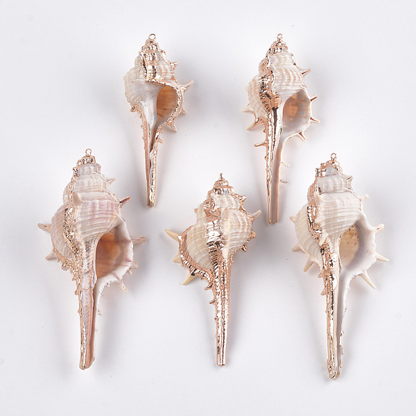 PandaHall Electroplate Spiral Shell Big Pendants, with Iron Findings, Light Gold, Seashell Color, 66~83x30~43x27~33mm, Hole: 1mm Spiral...
PandaHall Electroplate Spiral Shell Big Pendants, with Iron Findings, Light Gold, Seashell Color, 66~83x30~43x27~33mm, Hole: 1mm Spiral...
