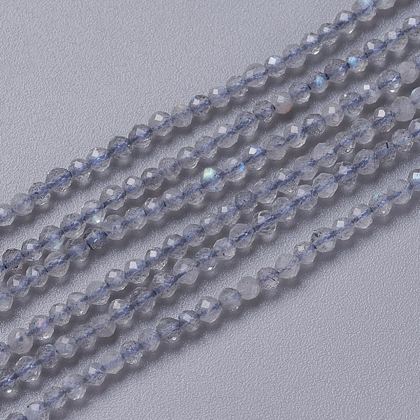 PandaHall Natural Labradorite Beads Strands, Faceted, Round, 3~3.5x2.5~3mm, Hole: 0.3mm, about 114~141pcs/strand, 15.1~16.4 inch..., Gray
PandaHall Natural Labradorite Beads Strands, Faceted, Round, 3~3.5x2.5~3mm, Hole: 0.3mm, about 114~141pcs/strand, 15.1~16.4 inch..., Gray