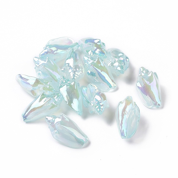 PandaHall UV Plating Rainbow Iridescent Acrylic Beads, Conch Shape, Pale Turquoise, 30x16x14mm, Hole: 1.7mm Acrylic Others
PandaHall UV Plating Rainbow Iridescent Acrylic Beads, Conch Shape, Pale Turquoise, 30x16x14mm, Hole: 1.7mm Acrylic Others