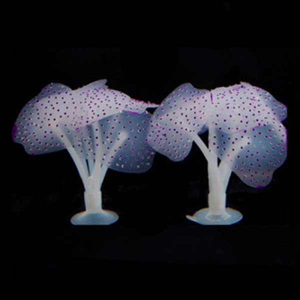 PandaHall Glow in The Dark Sea Grasses, Luminous Silicone Atificial Plant Ornament, for Fish Tank, Aquarium, Pond, Swimming Pool, Purple...
PandaHall Glow in The Dark Sea Grasses, Luminous Silicone Atificial Plant Ornament, for Fish Tank, Aquarium, Pond, Swimming Pool, Purple...