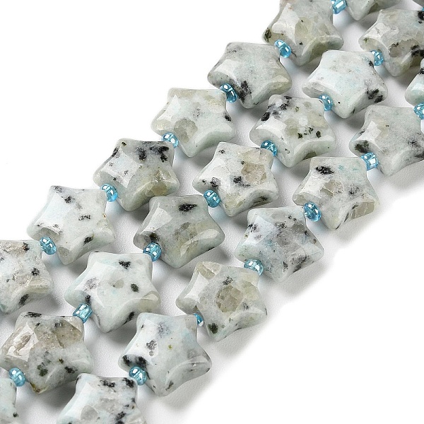 PandaHall Natural Sesame Jasper/Kiwi Jasper Beads Strands, with Seed Beads, Puffed Star, 14~15.5x15~16x6.5~7mm, Hole: 1mm, about...
PandaHall Natural Sesame Jasper/Kiwi Jasper Beads Strands, with Seed Beads, Puffed Star, 14~15.5x15~16x6.5~7mm, Hole: 1mm, about...