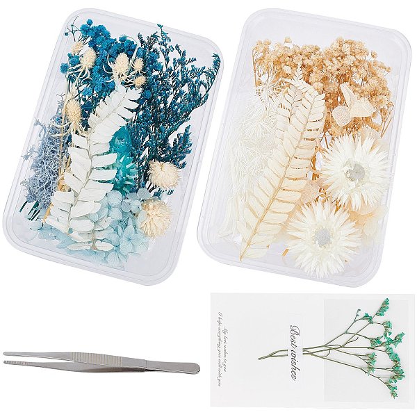 PandaHall Gorgecraft 2 Sets Dried Flower Material Package, with Stainless Steel Tweezers and Paper Cards, for DIY Bride's Headwear Garland..., Multicolor
PandaHall Gorgecraft 2 Sets Dried Flower Material Package, with Stainless Steel Tweezers and Paper Cards, for DIY Bride's Headwear Garland..., Multicolor