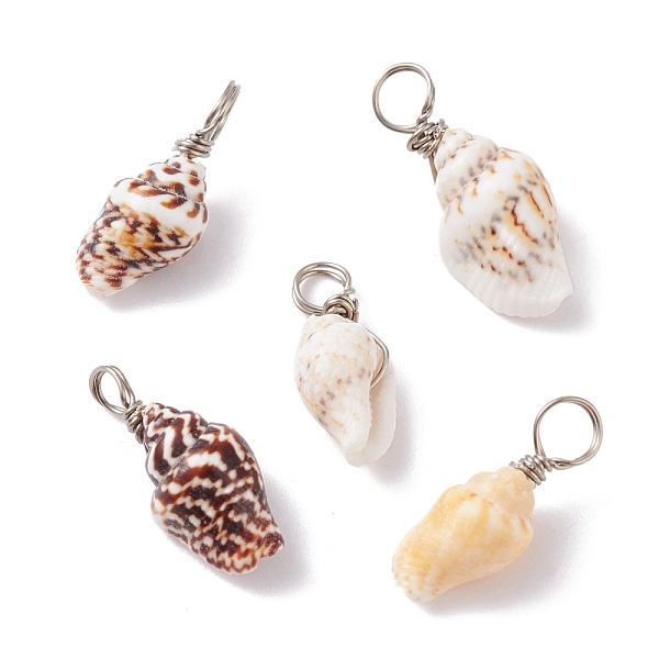 PandaHall Natural Shell Pendants, with Copper Findings, Platinum, 18~23x7~10x6~7.5mm, Hole: 3.7mm Shell Shell Shape
PandaHall Natural Shell Pendants, with Copper Findings, Platinum, 18~23x7~10x6~7.5mm, Hole: 3.7mm Shell Shell Shape